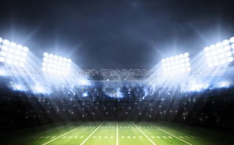 long8唯一中国官方网站百度游戏深圳职业足球运动员数量统计: 现有多少名职业球员在深圳从事足球运动?