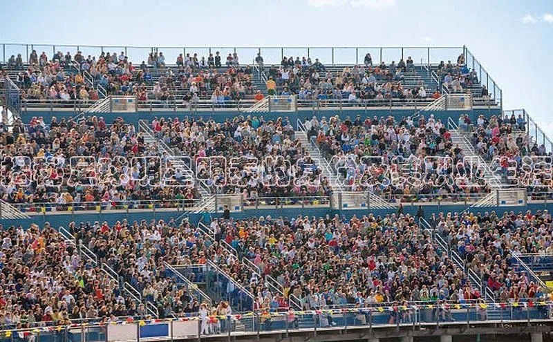 龙8官网国际歌力思揭秘足球明星明泰的身份及其职业生涯