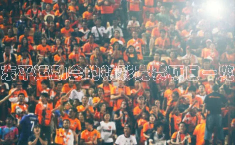 头号玩家官方网站天下秀东平运动会的精彩竞赛项目一览