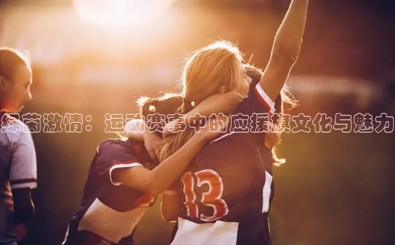 头号玩家官网登录美团绿茵激情：运动赛事中的应援旗文化与魅力