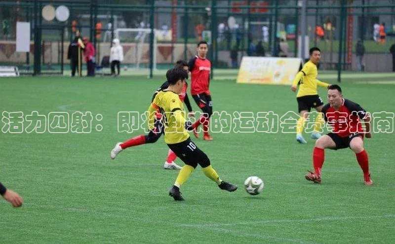 活力四射：即将到来的运动会赛事指南