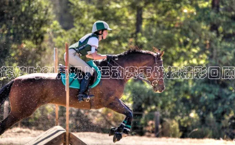 辉煌时刻再现！运动赛事战报精彩回顾