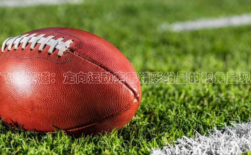 飞跃赛道：定向运动赛事精彩纷呈的视角呈现