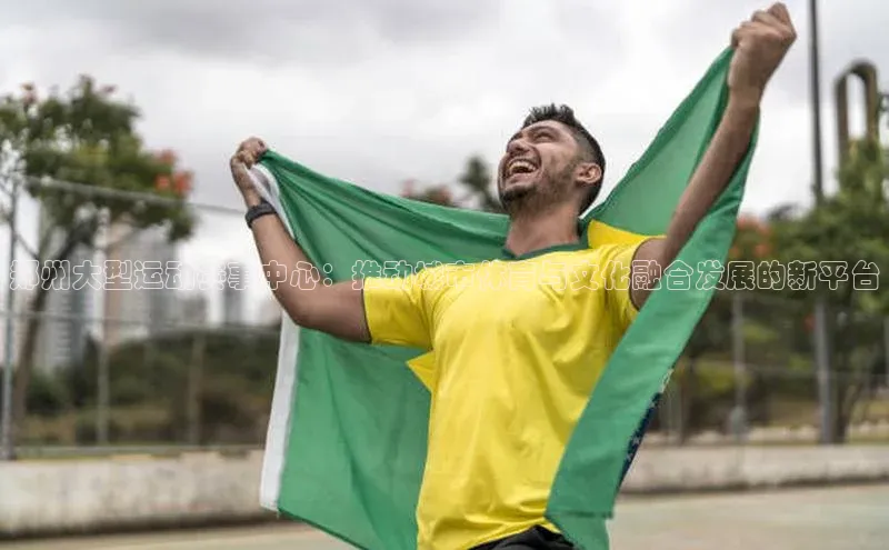 郑州大型运动赛事中心：推动城市体育与文化融合发展的新平台