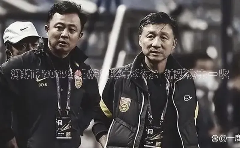 潍坊市2023年度游泳赛事名录：精彩赛事一览