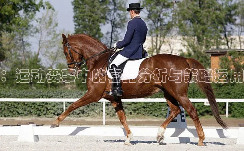 ：运动赛事中的套路分析与策略运用