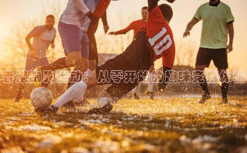 龙8官网手机登入口