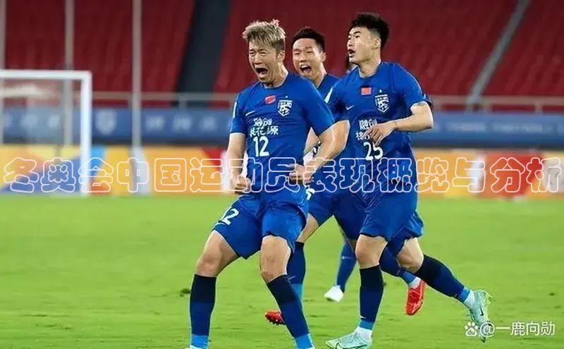 冬奥会中国运动员表现概览与分析